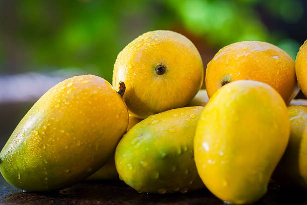 Popular Kesar Mangoes.with light green backround, isolated, selective focus, shallow depth of field, concept of food and taste